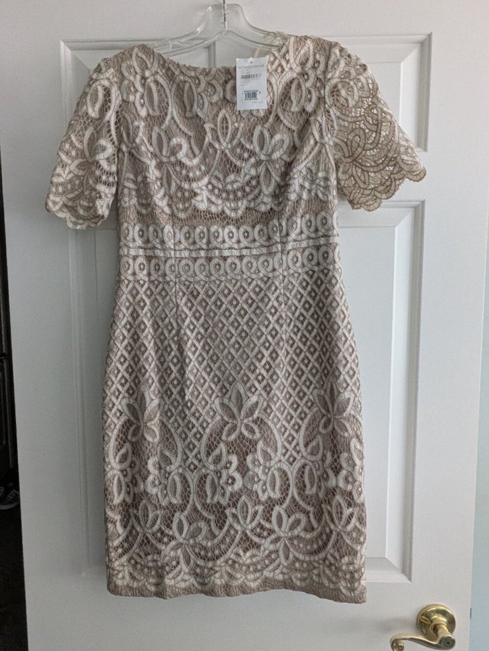 Eliza J Short SL Sheath dress - Ivory Lace over Neutral Slip - NWT- 6P
